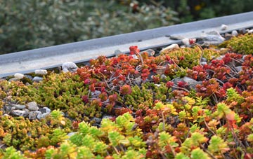 the cost of Carlisle green roof installation