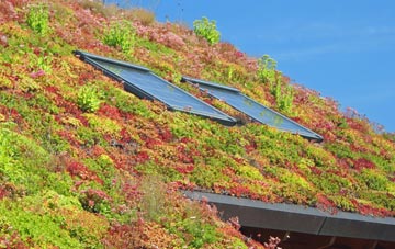Carlisle living roof systems