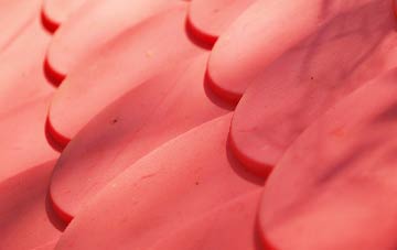 Carlisle plastic roof costs